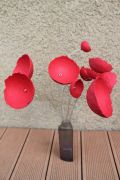 IMG4134